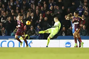 Ipswich Town 14FEB17 Prints: David Stockdale's Focus: Brighton & Hove Albion vs Ipswich Town (14/02/2017)