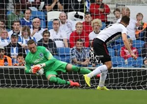 Images Dated 25th October 2014: David Stockdale's Spectacular Save: Brighton and Hove Albion vs. Rotherham United