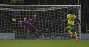 Norwich City 22NOV14 Prints: David Stockdale's Spectacular Saves: Norwich City vs. Brighton & Hove Albion (22NOV14)