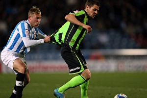 Huddersfield Town - 17-11-2012 Prints: Dean Hammond in Action: Brighton & Hove Albion vs