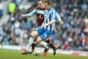 Images Dated 23rd February 2013: Dean Hammond in Action: Brighton & Hove Albion vs. Burnley, Npower Championship, Amex Stadium