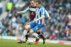 Burnley - 23-02-2013 Prints: Dean Hammond in Action: Brighton & Hove Albion vs