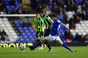 Birmingham City - 19-01-2013 Prints: Dean Hammond: Brighton & Hove Albion vs Birmingham City