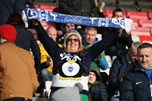 Decisive Moment: AFC Bournemouth vs. Brighton & Hove Albion, Premier League (22DEC18)