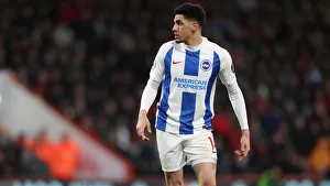 Decisive Moment: AFC Bournemouth vs. Brighton and Hove Albion - Premier League Showdown at Vitality Stadium (22DEC18)