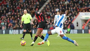 Decisive Moment: AFC Bournemouth vs. Brighton and Hove Albion at Vitality Stadium, Premier League (22DEC18)