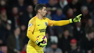 Decisive Moment: AFC Bournemouth vs. Brighton & Hove Albion - Premier League Clash at Vitality Stadium (22DEC18)