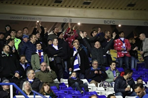 Decisive Moment: Birmingham vs. Brighton - EFL Sky Bet Championship Clash (17DEC16)