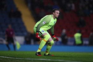 Decisive Moment: Blackburn Rovers vs. Brighton & Hove Albion in the EFL Sky Bet Championship (13DEC16)