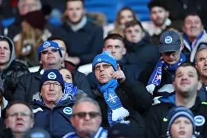 Decisive Moment: Cardiff vs. Brighton - EFL Sky Bet Championship Clash (03DEC16)