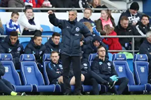 Decisive Moment: Cardiff vs. Brighton - EFL Sky Bet Championship Clash (3 December 2016)