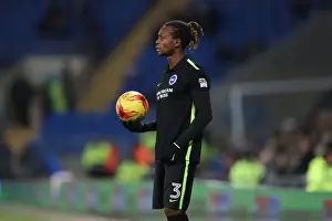 Cardiff City Prints: Decisive Moment: Cardiff vs. Brighton and Hove Albion in EFL Sky Bet Championship (03DEC16)