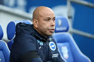 Decisive Moment: Cardiff vs. Brighton & Hove Albion in EFL Sky Bet Championship (03DEC16)