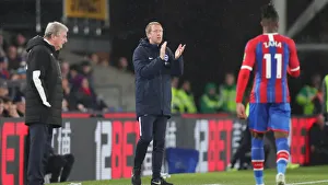 Decisive Moment: Crystal Palace vs. Brighton & Hove Albion, Premier League, 16th December 2019 (Crystal Palace 1-X)