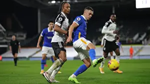 Decisive Moment: Fulham vs. Brighton & Hove Albion - Premier League Clash at Craven Cottage (16DEC20)