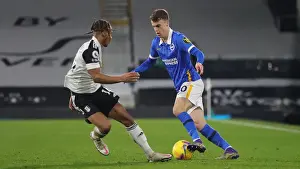 Decisive Moment: Fulham vs. Brighton & Hove Albion - Premier League Showdown (16DEC20)
