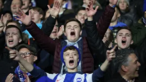 Decisive Moment: Huddersfield vs. Brighton & Hove Albion - Premier League Showdown (01DEC18)