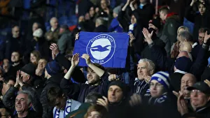 Decisive Moment: Huddersfield vs. Brighton & Hove Albion - Premier League Showdown (1st December 2018)