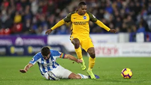 Decisive Moment: Huddersfield vs. Brighton & Hove Albion - Premier League Showdown (1st December 2018)