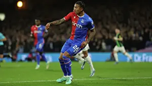 Decisive Moment: A Pivotal Instant in the Crystal Palace vs. Brighton & Hove Albion Premier League Clash (21st December 2023)