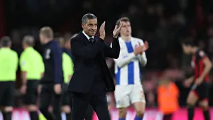Decisive Moments: AFC Bournemouth vs. Brighton and Hove Albion, Premier League, 22nd December 2018