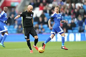 Decisive Moments: Cardiff vs. Brighton & Hove Albion, Championship Showdown at Cardiff City Stadium (3rd December 2016)
