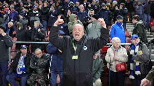 Decisive Moments: Southampton vs. Brighton & Hove Albion at St Mary's, 4th December 2021