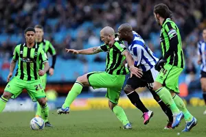 Sheffield Wednesday - 02-02-2013 Prints: Defender Adam El-Abd of Brighton & Hove Albion Protecting the Goal Against Sheffield Wednesday - February 2
