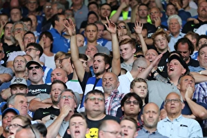 Derby County vs. Brighton and Hove Albion: EFL Sky Bet Championship Clash at iPro Stadium (06AUG16) - Intense Match Action