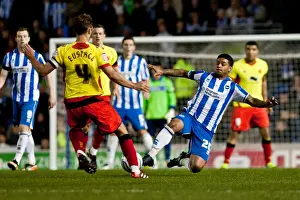 Determined Liam Bridcutt Tackle: Brighton & Hove Albion vs. Watford, Npower Championship, April 2012