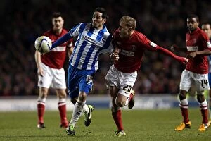 Images Dated 2nd April 2013: Determined Vicente: Brighton & Hove Albion vs Charlton Athletic, April 2013 (NPower Championship)