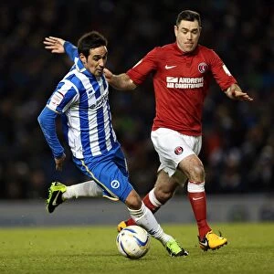 Images Dated 2nd April 2013: Determined Vicente: Brighton & Hove Albion's Victory Against Charlton Athletic, April 2