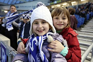 Images Dated 9th February 2013: Electric Atmosphere at the Amex: Brighton & Hove Albion FC Crowd Shots (2012-2013)