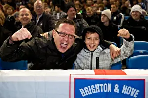 Crowd Shots At The Amex 2011-12 Prints: Electric Atmosphere at The Amex: Brighton & Hove Albion FC Crowd Shots (2011-12)