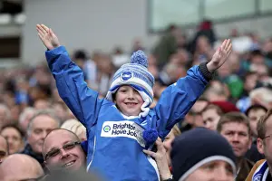 The Electric Atmosphere of Amex Stadium: Brighton & Hove Albion FC Crowd Shots (2012-2013)