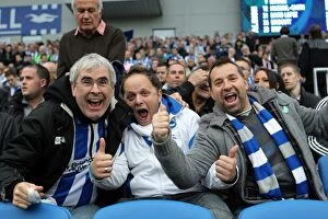 Images Dated 1st February 2001: Electric Atmosphere: Brighton & Hove Albion Crowd Shots at the Amex Stadium (2012-2013)