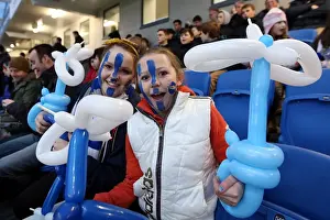 Hull City - 09-02-2013 Prints: Electric Atmosphere: Brighton & Hove Albion Crowd Shots (2012-13) - The Amex