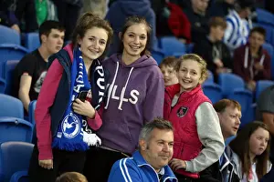Crowd Shots At The Amex - 2013-14 Prints: Electric Atmosphere: Brighton & Hove Albion Fans in Full Force (Nottingham Forest Game)