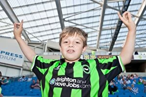 Images Dated 21st August 2012: Electric Atmosphere: Brighton & Hove Albion FC Crowd Shots (2012-2013) - The Amex Stadium