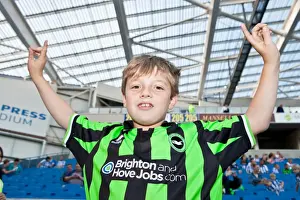 Electric Atmosphere: Brighton & Hove Albion FC Crowd Shots (2012-2013) - The Amex Stadium