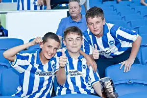 Cardiff City - 21-08-2012 Prints: Electric Atmosphere: Brighton & Hove Albion FC Crowd Shots at the Amex Stadium (2012-2013)