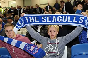 Sheffield Wednesday - 01-10-2013 Prints: Electric Atmosphere: Brighton & Hove Albion FC Fans at Amex Stadium (2013-14 Season: Sheffield Wednesday Game)