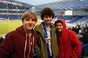 Images Dated 9th February 2013: The Electric Atmosphere of Brighton & Hove Albion's Amex Stadium (2012-2013)
