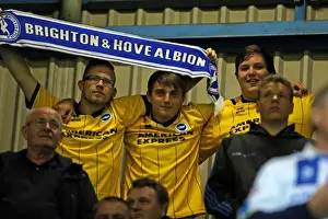 Crowd Shots Away Days - 2013-14 Prints: Electric Atmosphere: QPR Away Day 2013-14 - Brighton and Hove Albion Crowd Shots