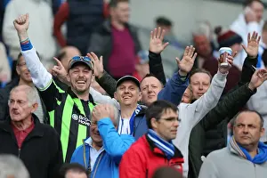 Wolves - 04-05-2013 Prints: Electrifying Crowd Moments at Brighton & Hove Albion's The Amex Stadium (2012-13)