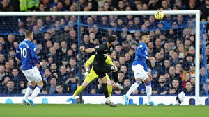 Images Dated 11th January 2020: Eleventh January 2020: Premier League Showdown - Everton vs. Brighton & Hove Albion at Goodison Park