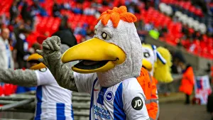 Emirates FA Cup Semi-Final: Manchester City vs. Brighton & Hove Albion Showdown at Wembley Stadium (06.04.19)