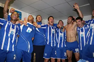 Euphoria Unleashed: Brighton & Hove Albion's Historic League 1 Title Win at Walsall (2011)