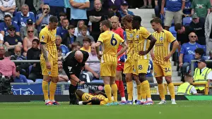 Pain Prints: Everton v Brighton and Hove Albion Premier League 17AUG24