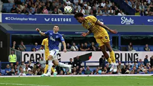 Everton v Brighton and Hove Albion Premier League 17AUG24